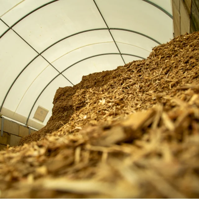 Wood chip