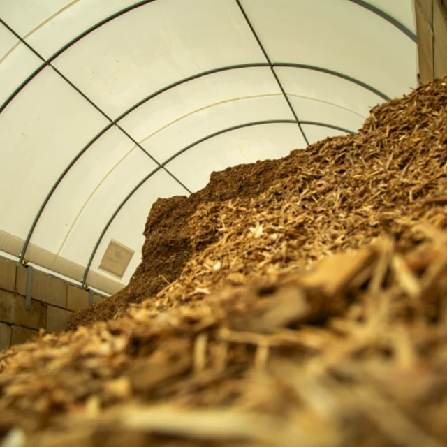 Sawdust